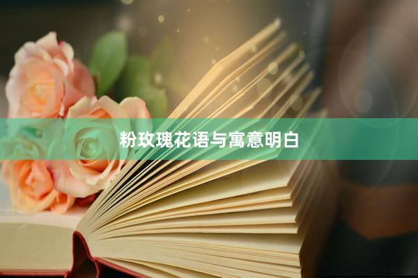 粉玫瑰花语与寓意明白