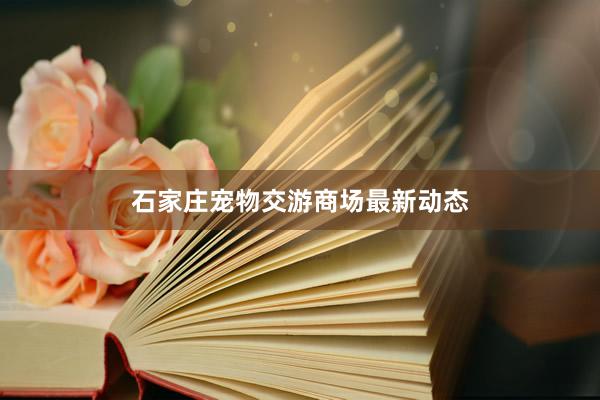 石家庄宠物交游商场最新动态