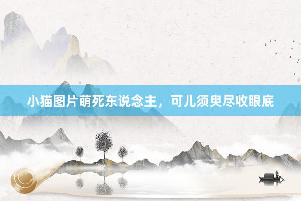 小猫图片萌死东说念主，可儿须臾尽收眼底