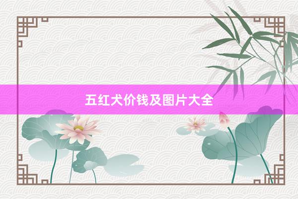 五红犬价钱及图片大全